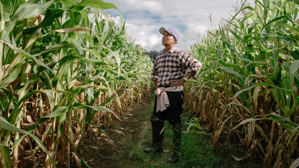 Explore Nature-positive in agri-food value chains